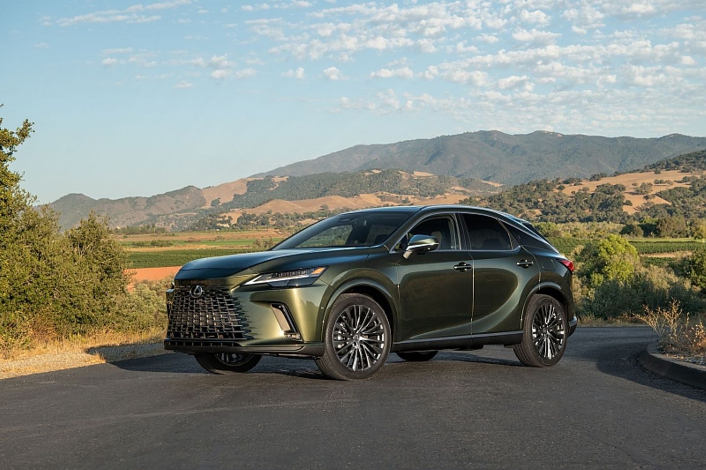 Lexus RX 450h+