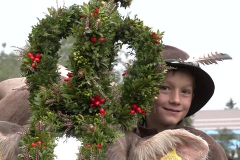 Video: Ein Termin fürs Herz: Almabtrieb in den Alpen