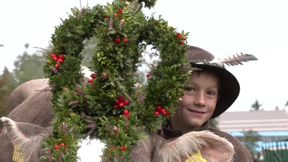 Video: Ein Termin fürs Herz: Almabtrieb in den Alpen Video: Ein Termin fürs Herz: Almabtrieb in den Alpen