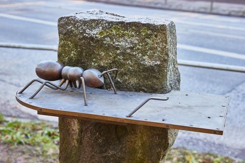 Auf einer Platte in Hamburg steht eine überlebensgroße Ameise aus Bronze