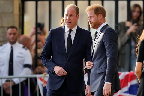 Prinz William und Prinz Harry