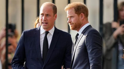 Prinz William und Prinz Harry