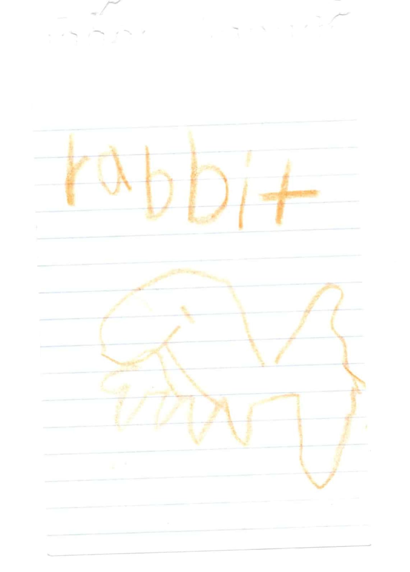 Hier soll ein Hase zu sehen sein. Um alle Zweifel auszuschließen, wurde dies noch ausdrücklich ("rabbit") annotiert.