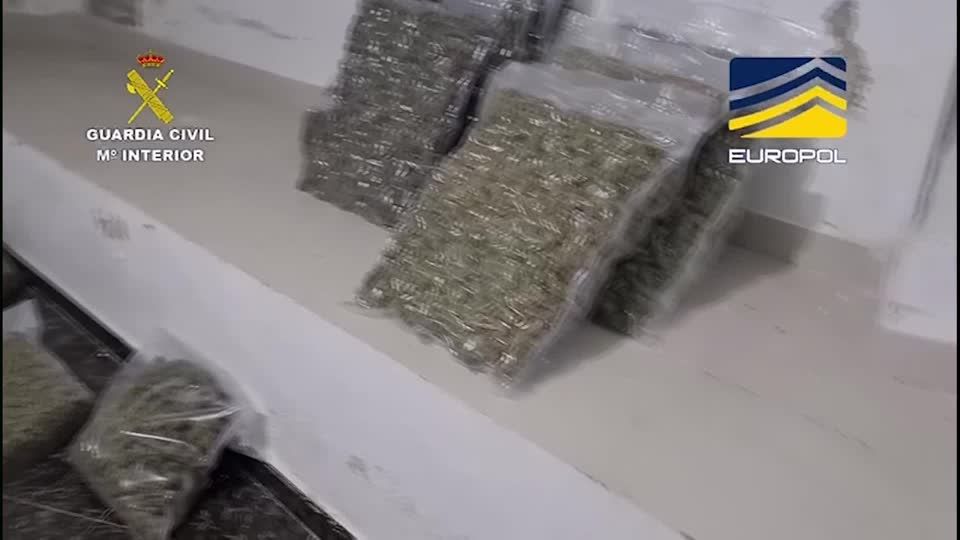 Video: Spanische Polizei zerschlägt Hamburger Drogenhändlerring Video: Spanische Polizei zerschlägt Hamburger Drogenhändlerring