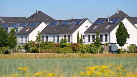 Einfamilienhäuser neben einem Rapsfeld