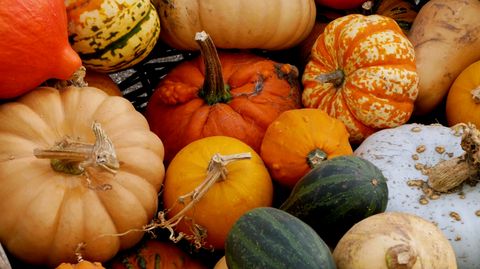 Kürbis: So lagern sie das leckere Herbst-Gemüse richtig