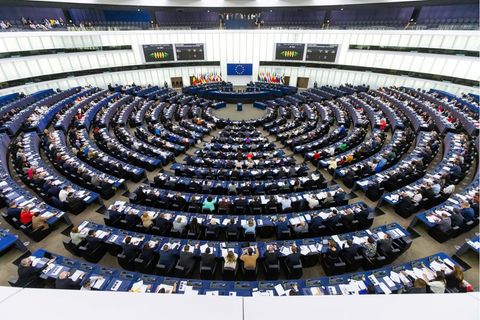 Plenarsaal des Europaparlaments in Straßburg