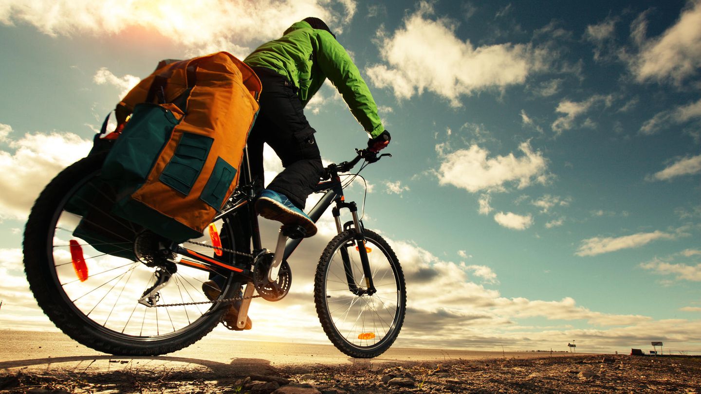 Two panniers for 89.99 instead of 135 euros: top deals at the weekend