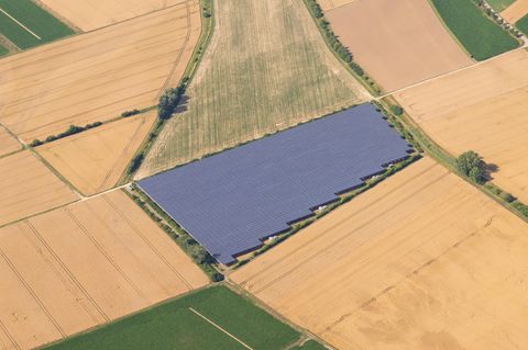 Solarpaneele stehen auf einem Feld
