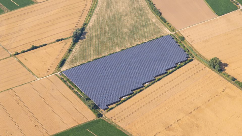 Solarpaneele stehen auf einem Feld