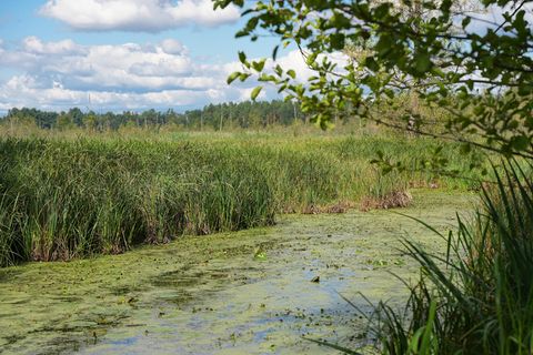 Moor bei den Möllmer Seewiesen
