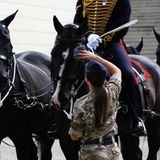 Pferde während der Prozession