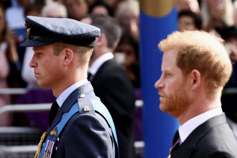 Die Prinzen Harry und William