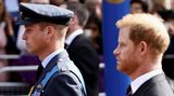Die Prinzen Harry und William
