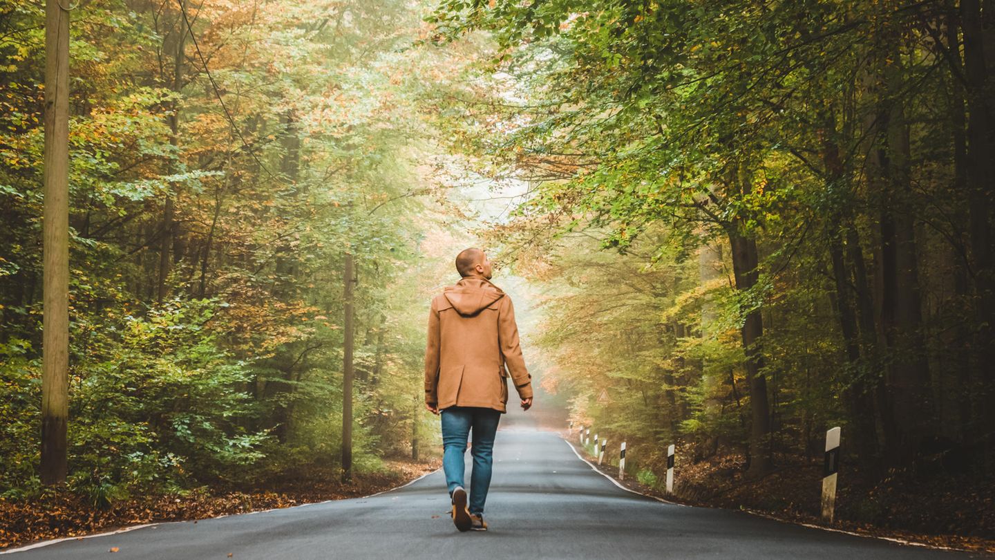 Dementia: Anyone who takes brisk walks every day can reduce the risk of developing the disease