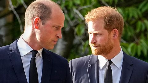 Prinz William (links) und Prinz Harry in der Trauer vereint