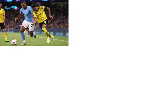 Manuel Akanji, Donyell Malen