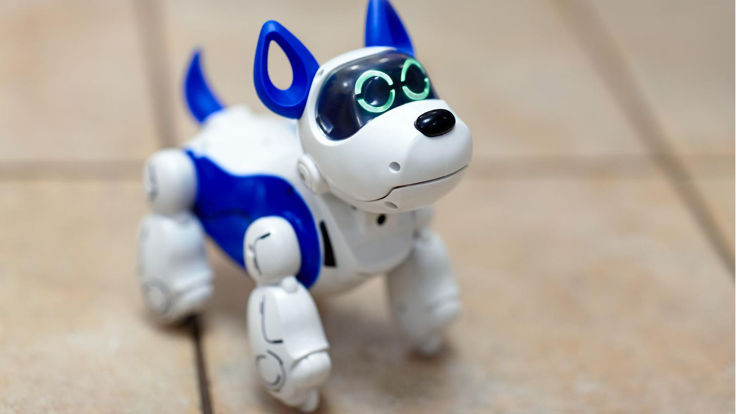 Interkatives Spielzeug: Roboterhunde für Kinder: Diese Features besitzen ferngesteuerte Haustiere