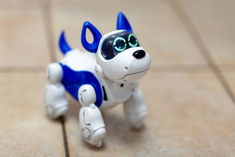 Roboterhund
