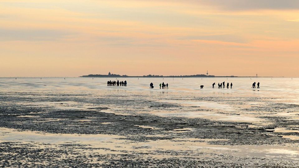 Nationalpark Niedersächsisches Wattenmeer: Nationalpark Niedersächsisches Wattenmeer: