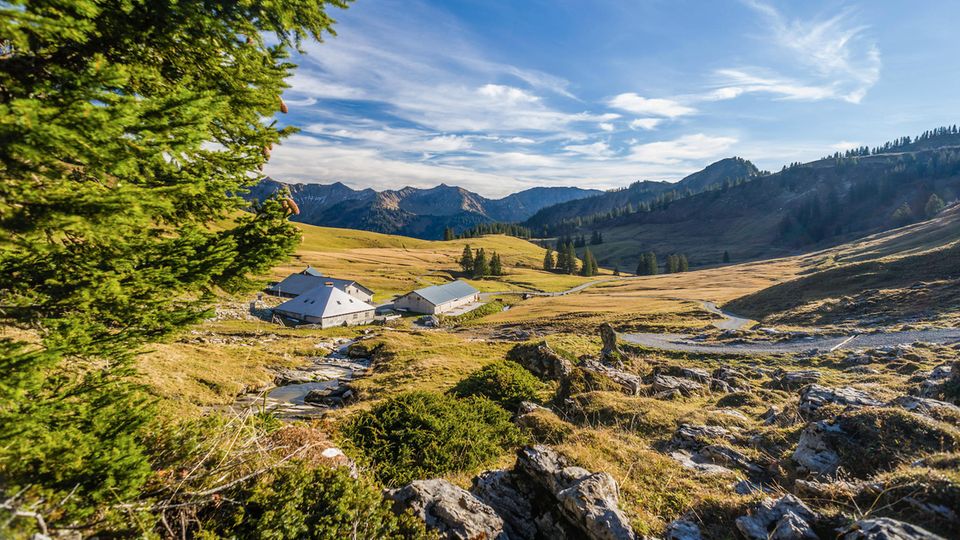 Blick über Bergalmen an einem sonnigen Herbsttag in die Vorarlberger Alpenlandschaft