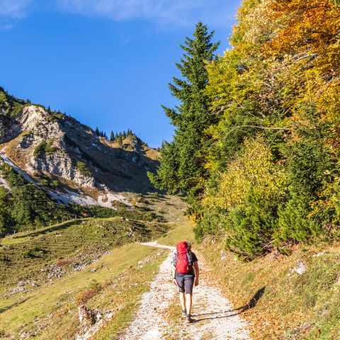 Wandern im Herbst
