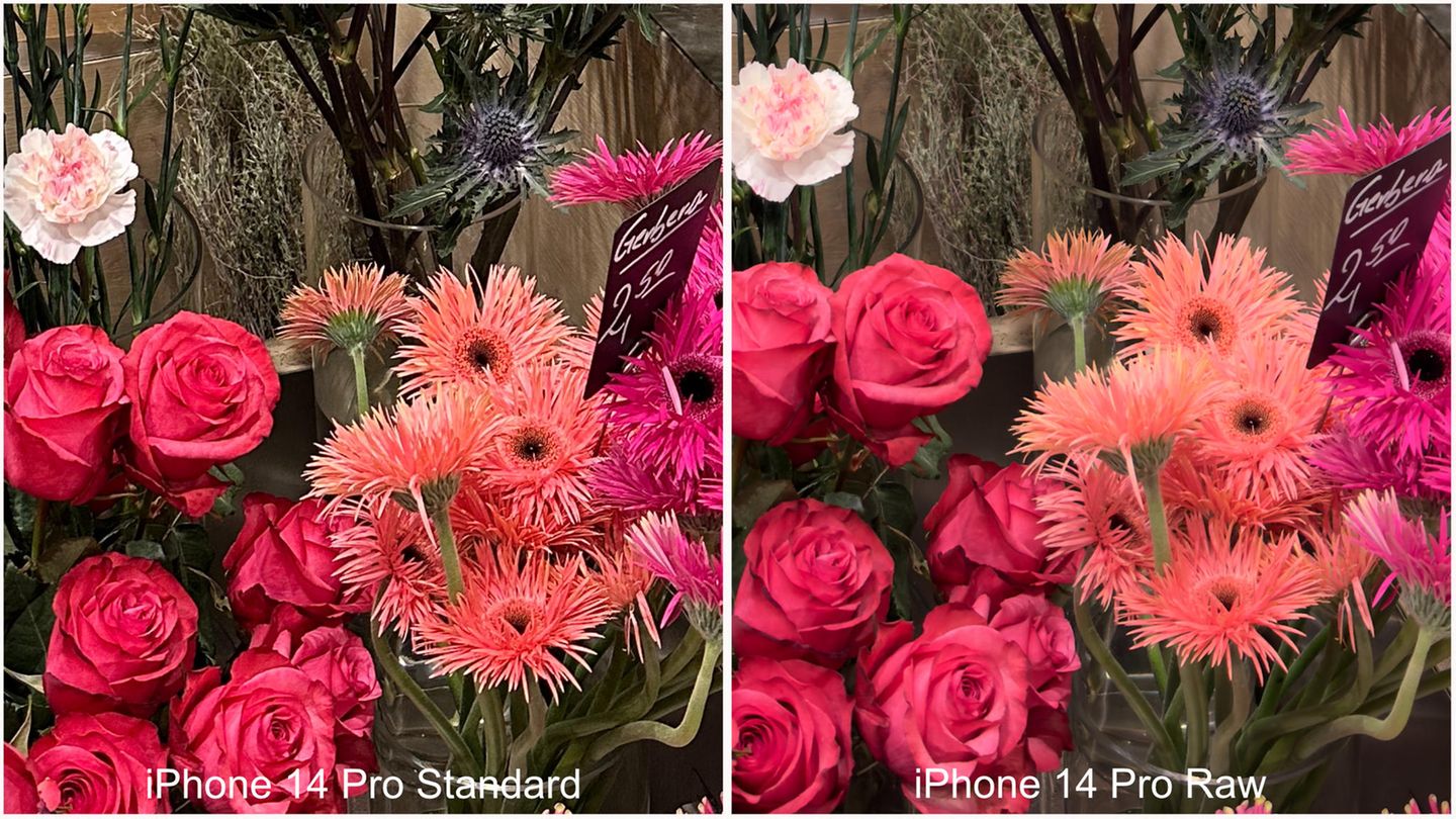 Im Detail sieht man das Nachschärfen noch deutlicher. Man muss aber sagen: Ohne den direkten Vergleich sieht auch das Standard-Foto toll aus.