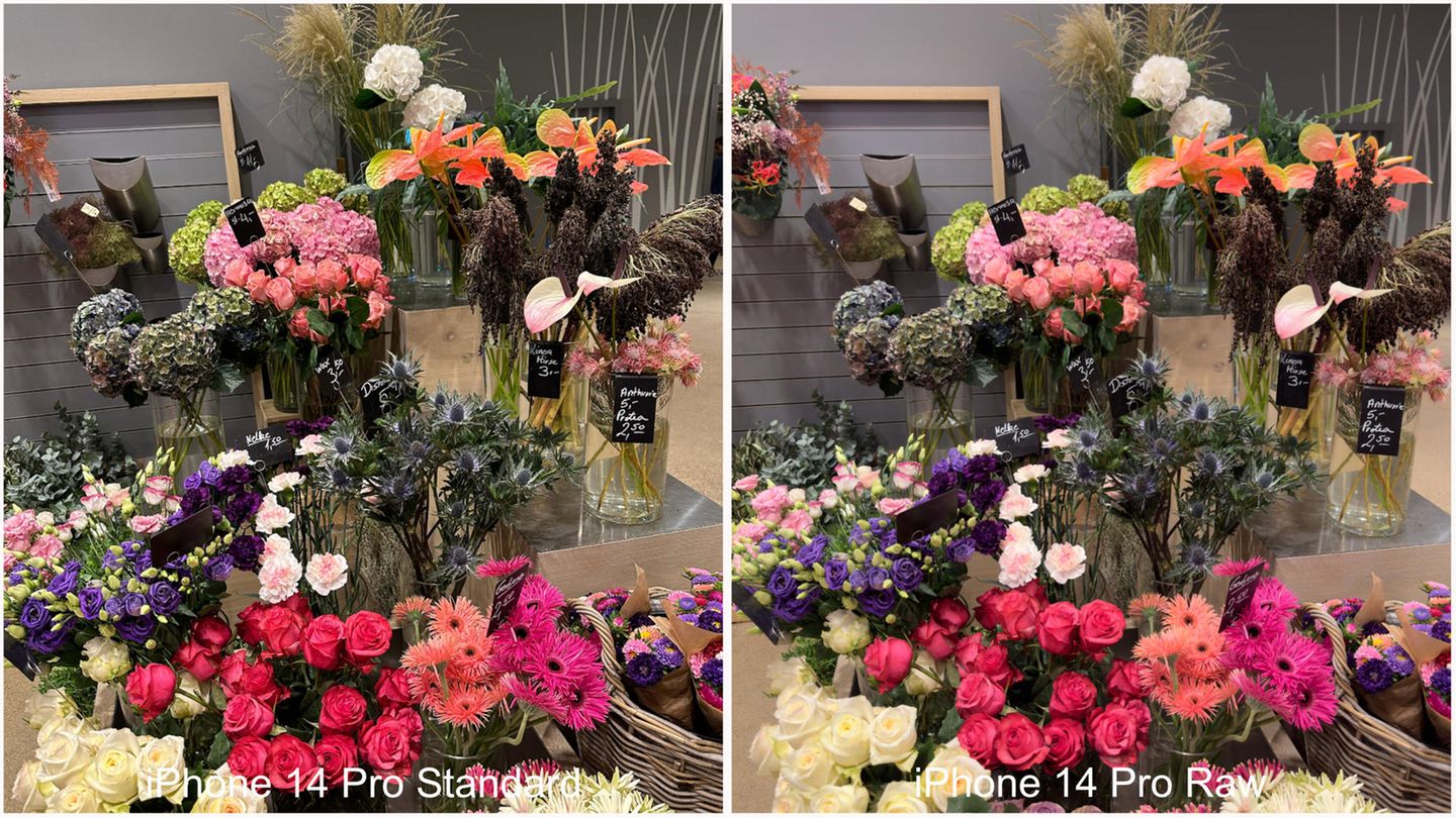 Eine etwas zu starke Überarbeitung des iPhone 14 Pro wird erst im Vergleich mit dem nahezu unbearbeiteten RAW-Modus sichtbar: Es schärft die Bilder deutlich nach. Das RAW-Foto (rechts) wirkt eigentlich viel natürlicher, im Vergleich könnte man es aber fast für verwaschen halten.