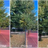 Bei Tageslicht geben sich iPhone 13 Pro Max (links), iPhone 14 (Mitte) und iPhone 14 pro (rechts) nicht viel. Alle stellen das Abgebildete scharf, kontrastreich und farbecht dar. Die Pros stellen Farben etwas kräftiger dar