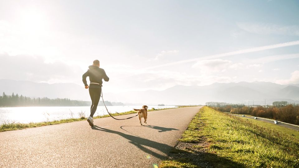 Joggen mit Hund: Wer weiß, worauf es ankommt, kann sich selbst und dem Vierbeiner gemeinsamen Auslauf gönnen.