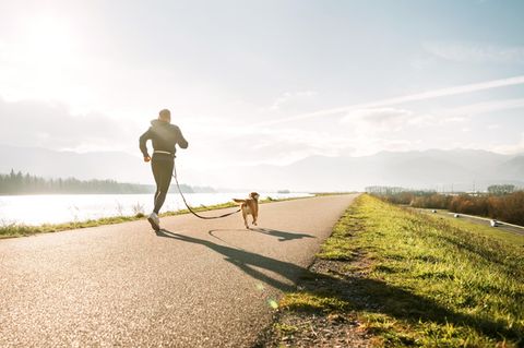 Joggen mit Hund: Wer weiß, worauf es ankommt, kann sich selbst und dem Vierbeiner gemeinsamen Auslauf gönnen.