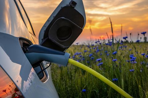 Ein Elektroauto lädt vor einem Blumenfeld bei Sonnenuntergang.