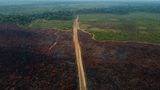 Humaita, Brasilien. Aus der Luft wird das Ausmaß der Zerstörung erst richtig deutlich. Der Highway BR-319 führt mitten durch den Amazonas und quert auf seinem Weg sowohl komplett gerodete Gefilde, als auch noch sprießende Grünflächen.