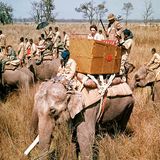 Bei ihrem Indien-Besuch 1961 schaukelt Queen Elizabeth II. auf einem Elefanten zur Tigerjagd
