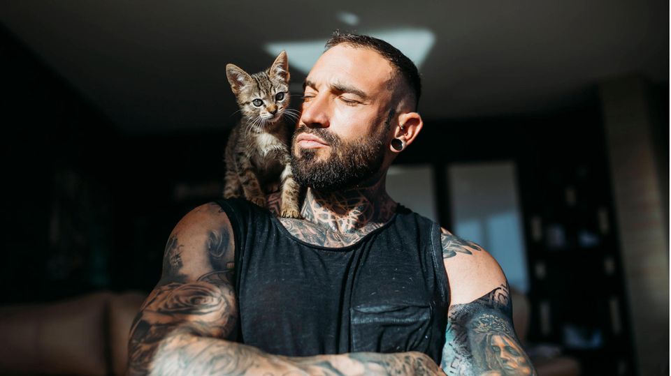 Eine kleine Katze sitzt auf der Schulter einen muskulösen und tätowierten Mannes