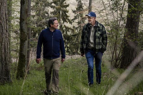 Eckart fragt, Peter erklärt. Dieses Waldstück in der Eifel ist wie so viele deutsche Wälder geprägt von Kiefern und Fichten