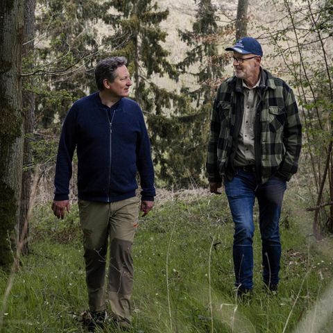 Eckart fragt, Peter erklärt. Dieses Waldstück in der Eifel ist wie so viele deutsche Wälder geprägt von Kiefern und Fichten