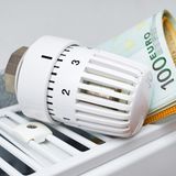 1000 Euro Ersparnis  Fazit: Auch ohne größere Investitionen kann eine Familie im Alltag sparen. Die von Stiftung Warentest genannten Tricks kosten fast nichts und bringen dem Beispielhaushalt in Summe eine Ersparnis von 1074 Euro im Jahr ein. Und je höher die Energiepreise, desto höher auch die Sparsummen bei der Reduzierung des Verbrauchs. Der Großteil des Sparpotenzials liegt allerdings beim Warmwasserverbrauch und beim Heizverhalten. Der Rest läuft eher in der Kategorie Kleinvieh. Noch mehr Spartipps gibt's auf www.test.de