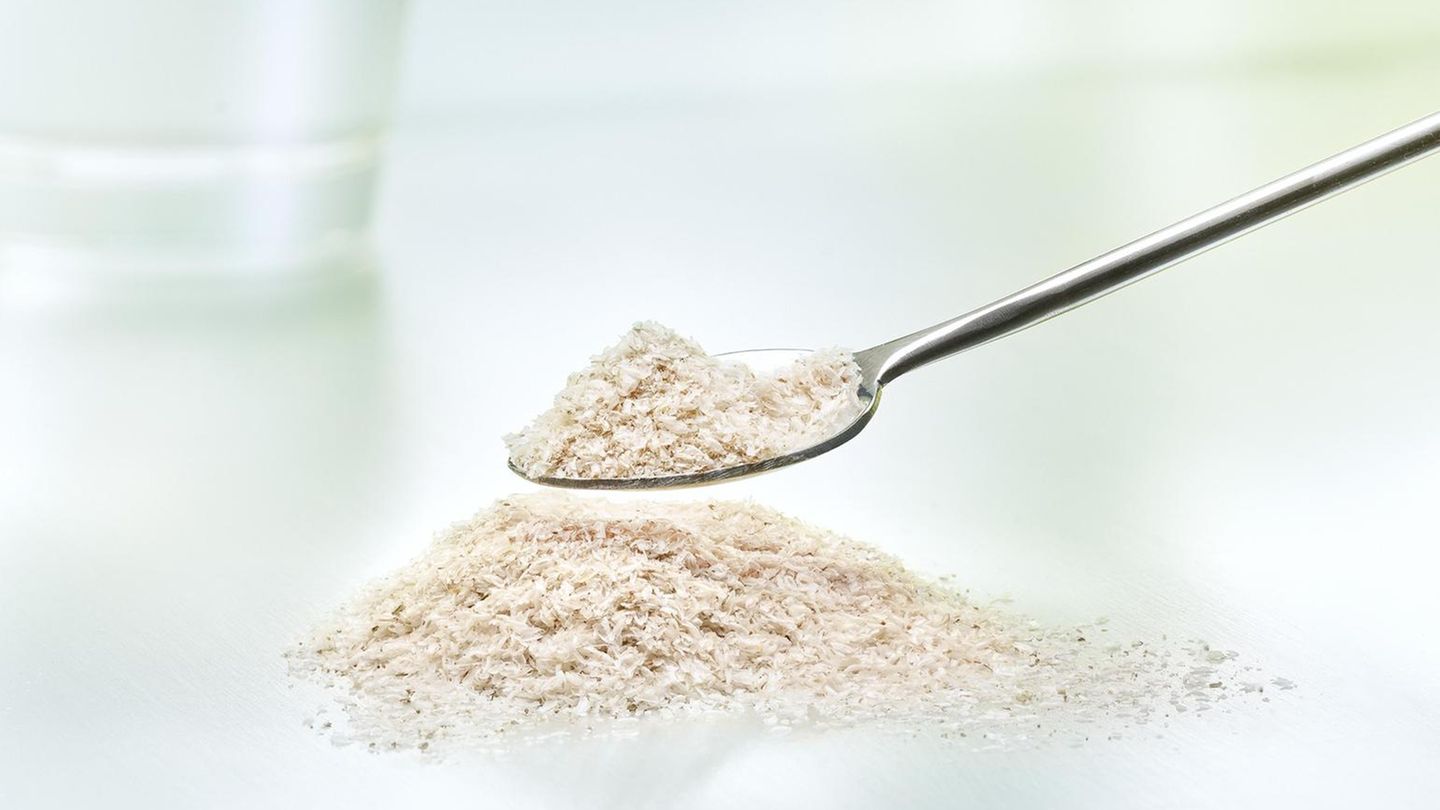 Flohsamen; Gesund Leben Beipackzettel Flohsamenschalen