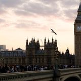 Die Warteschlange vor der Westminster Hall und dem Sarg von Queen Elizabeth II.