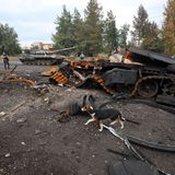 Ein Hund läuft an einem zerstörten Militärfahrzeug in Isjum vorbei. Im Hintergrund sind Fotografen zu sehen, die das Ausmaß der Zerstörung in der Kleinstadt dokumentieren.  