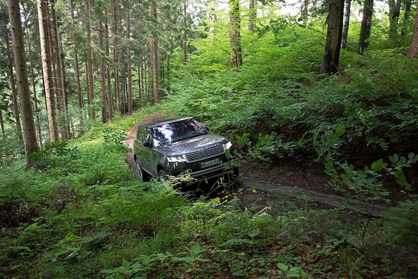 Range Rover