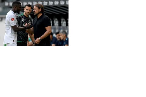 Daniel Farke, Marcus Thuram