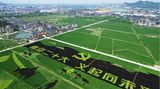 Hangzhou, China. Diese Luftaufnahme zeigt ein Bild zur Begrüßung des 20. Kongresses der Kommunistischen Partei, das durch den Anbau verschiedener Reissorten in einem Feld in Chinas östlicher Provinz Zhejiang entstanden ist.