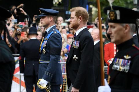 Harry und William
