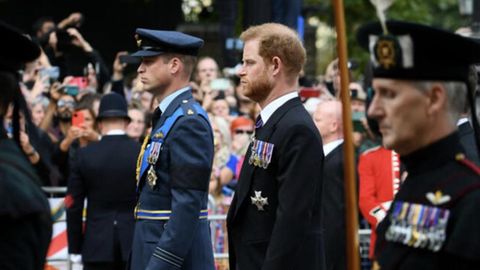 Harry und William