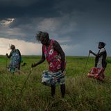 Eine Gruppe von Nawarddeken-Frauen jagt Schildkröten mit selbstgebauten Werkzeugen in den Überschwemmungsgebieten bei Gunbalanya, Arnhem Land, Australien. Den ganzen Tag konnten sie nur zwei Schildkröten finden – eine beliebte Delikatesse. Das Abbrennen des Grases erleichtert die Jagd.
