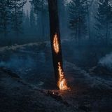 Ein Baum brennt bei einem Waldbrand in der Nähe von Kürelyakh, Sacha, Russland, am 5. Juli 2021. Bis Mitte August 2021 waren nach Angaben von Greenpeace Russland in Sibirien mehr als 17 Millionen Hektar durch Brände verwüstet worden – eine Fläche, die größer ist als die von Bränden in Griechenland, der Türkei, Italien, den USA und Kanada zusammen.