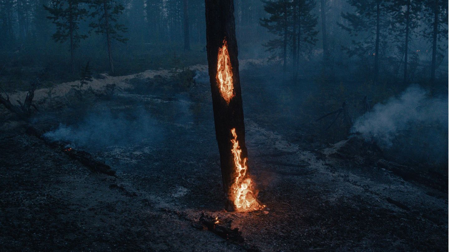 Beste Photo Story aus Europa Ein Baum brennt bei einem Waldbrand in der Nähe von Kürelyakh, Sacha, Russland, am 5. Juli 2021. Bis Mitte August 2021 waren nach Angaben von Greenpeace Russland in Sibirien mehr als 17 Millionen Hektar durch Brände verwüstet worden – eine Fläche, die größer ist als die von Bränden in Griechenland, der Türkei, Italien, den USA und Kanada zusammen.