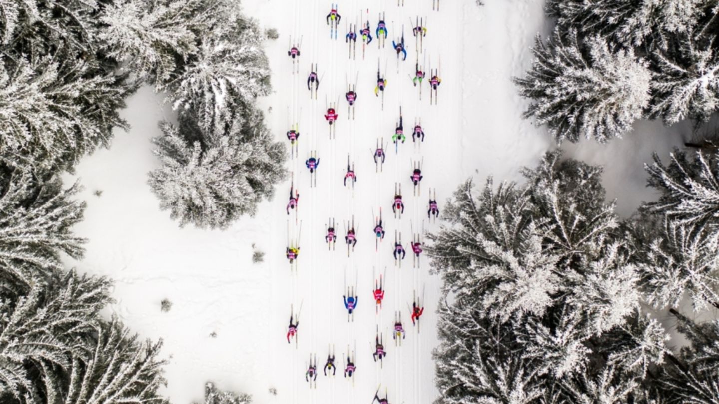 Skifahrer sausen in ihrer bunten Kleidung entlang der von schneebedeckten Bäumen umgebenen Piste